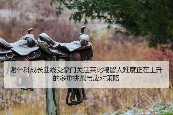 谢什科成长曲线受豪门关注莱比锡留人难度正在上升的多重挑战与应对策略