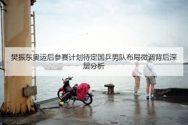 樊振东奥运后参赛计划待定国乒男队布局微调背后深层分析