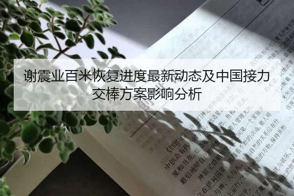 谢震业百米恢复进度最新动态及中国接力交棒方案影响分析