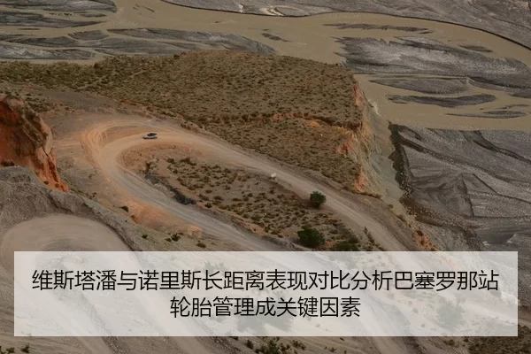 维斯塔潘与诺里斯长距离表现对比分析巴塞罗那站轮胎管理成关键因素