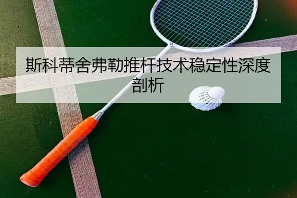 斯科蒂舍弗勒推杆技术稳定性深度剖析