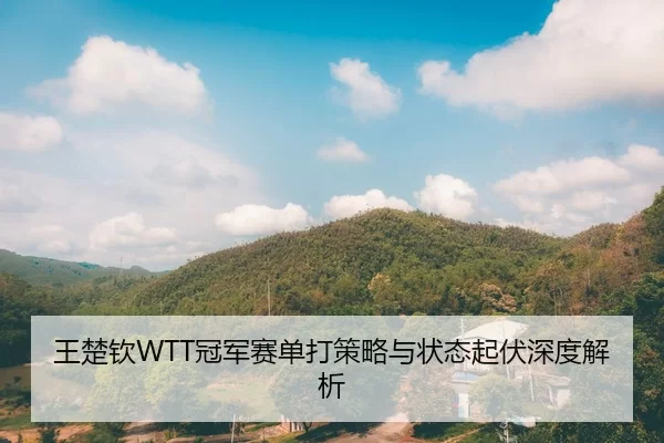 王楚钦WTT冠军赛单打策略与状态起伏深度解析