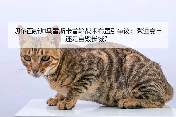 qie-er-xi-xin-shuai-ma-lei-si-ka-shou-lun-zhan-shu-bu-zhi-yin-zheng-yi-ji-jin-bian-ge-hai-shi-zi-hui-chang-cheng-2-779.jpg