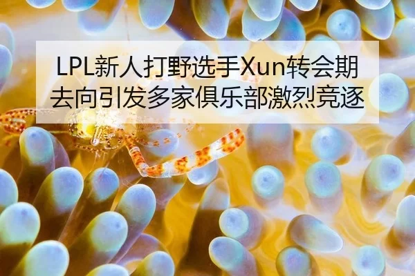 LPL新人打野选手Xun转会期去向引发多家俱乐部激烈竞逐